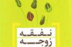 چگونگی تعیین میزان نفقه
