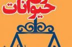 دولت «لایحه حمایت از حیوانات» را تصویب کرد