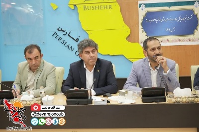 ۹۴ درصد کالاهای متروکه از بنادر استان بوشهر تعیین تکلیف و ترخیص شدند