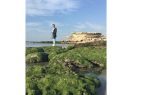 می خواست خواستنی باشد
