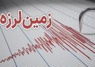 سد مخزنی رییسعلی دلواری و سرقنات خسارت نداشت