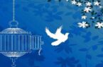 اینفوگرافی/نگاهی به آثار و اقدامات خیرین برای آزادی زندانیان استان بوشهر در سال ۱۴۰۳